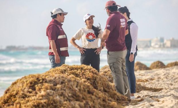 Mantenemos nuestras playas libres de sargazo: Ana Patricia Peralta