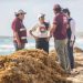 Mantenemos nuestras playas libres de sargazo: Ana Patricia Peralta