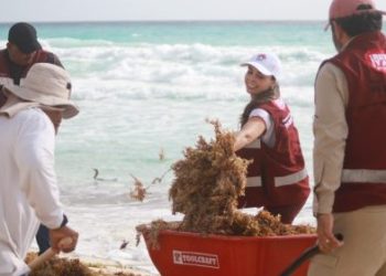 Constata Ana Patricia Peralta retiro continuo de sargazo en playas