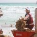 Constata Ana Patricia Peralta retiro continuo de sargazo en playas
