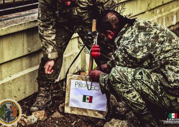 Trasladan los restos de Proteo a México, perro rescatista tras terremoto en Turquía