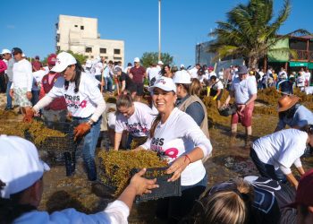 Mara Lezama arranca la jornada permanente “Tod@s contra el Sargazo”