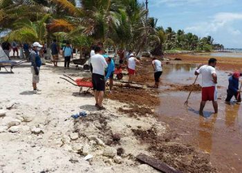Inician labores de sargazo en Mahahual