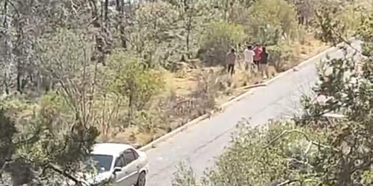 Encuentran 5 cadáveres en Puebla, implicados en el crimen organizado