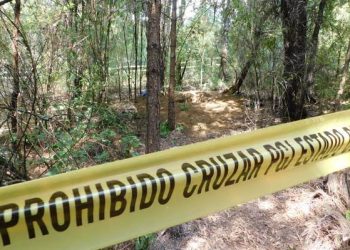 Al menos 14 cuerpos fueron encontrados en una fosa clandestina en Edomex