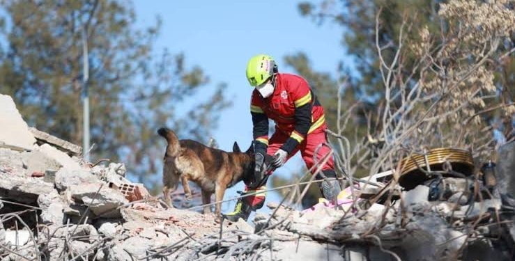 México donará seis millones de dólares a Turquía y Siria