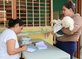 Alista gobierno de BJ campaña de esterilización canina y felina