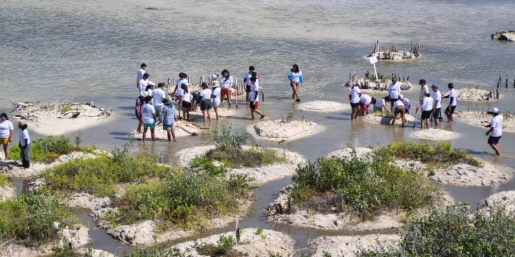 La FPMC brinda espacios de aprendizaje experiencial en educación ambiental