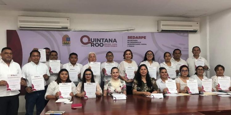 Fomentamos ambientes laborales sanos y libres de violencia: IQM