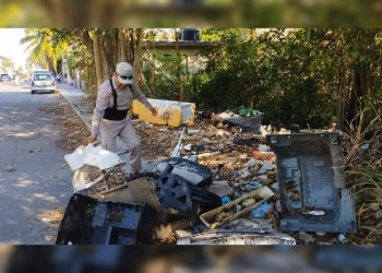 Disminuyen casos de dengue en Quintana Roo