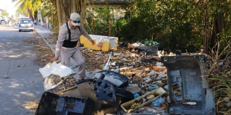 Disminuyen casos de dengue en Quintana Roo