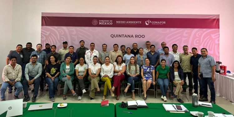 Primer Encuentro de Desarrollo Forestal en Quintana Roo para impulsar buenas prácticas ambientales