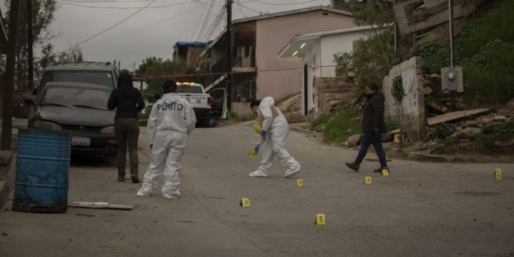 Detienen a un niño de 14 años por el asesinato de 8 personas en CDMX