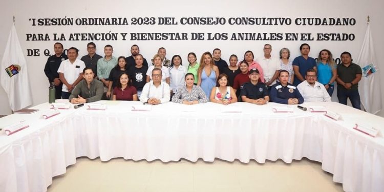 IBANQROO fortalece la cultura de respeto y cuidado a los animales