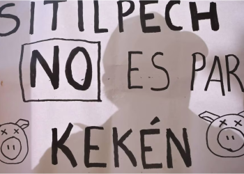 Detienen a 4 personas en Sitilpech por protestas por granjas de Kekén en Yucatán