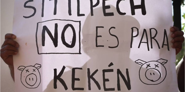 Detienen a 4 personas en Sitilpech por protestas por granjas de Kekén en Yucatán