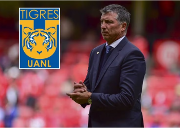 Tigres de la UANL informó que Robert Dante Siboldi se convirtió en su nuevo director técnico