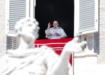 Papa Francisco instó a estudiar «políticas con una visión de futuro para proteger el medio ambiente»