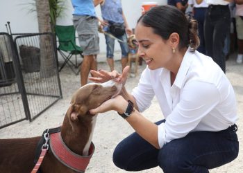 Adoptar mascotas es acto de amor: Ana Paty Peralta