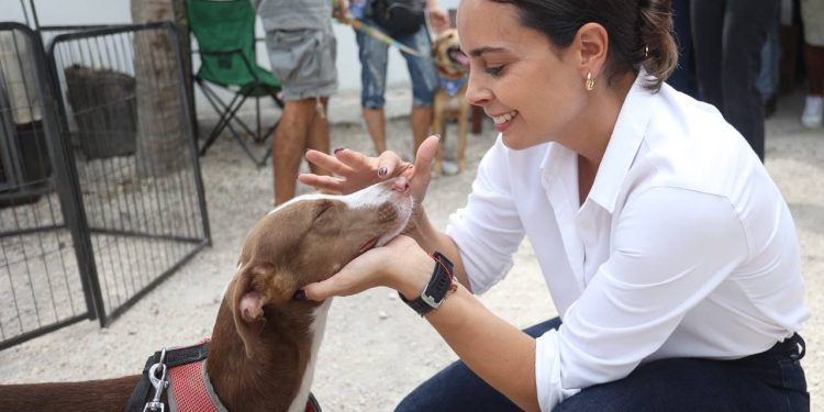 Adoptar mascotas es acto de amor: Ana Paty Peralta