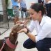 Adoptar mascotas es acto de amor: Ana Paty Peralta