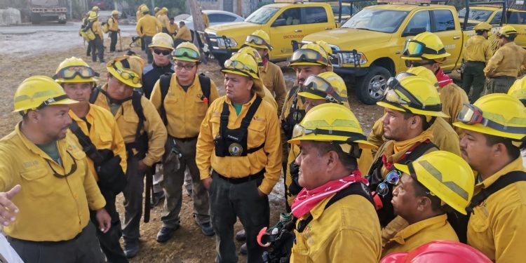 Instituciones coordinadas logran 90% de liquidación y 100% de control en incendio San José