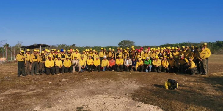 Exitosa transferencia de mando: EEMI y combatientes logran controlar incendio forestal en Quintana Roo