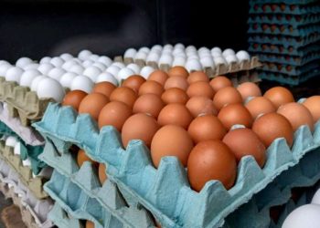 Incrementos en el precio del huevo afecta a los quintanarroenses