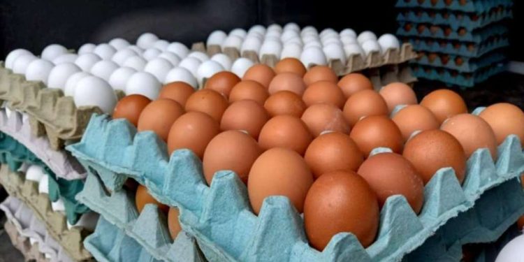 Incrementos en el precio del huevo afecta a los quintanarroenses