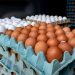 Incrementos en el precio del huevo afecta a los quintanarroenses