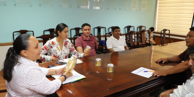 Gobierno de Mara Lezama suma voluntades para integrar Plan de Rescate Apícola