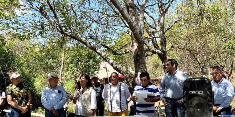 SEMA promueve la participación de las y los ciudadanos en proyectos de desarrollo forestal