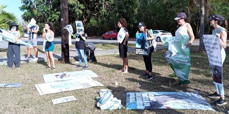 Protestan por delfinarios en Cancún