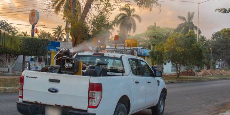 Quintana Roo el primer lugar con más casos de dengue a nivel nacional