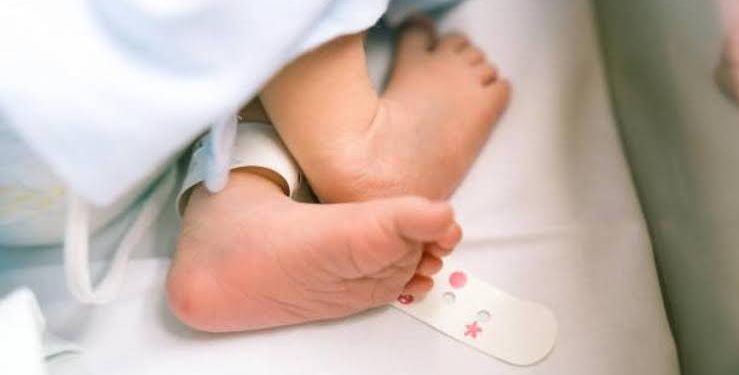 Nace el primer bebé en el Reino Unido con ADN de tres personas