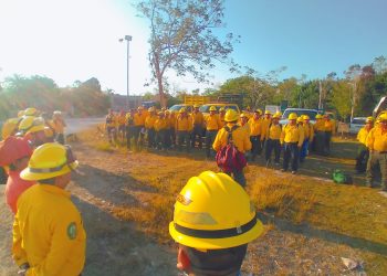 Quintana Roo mantiene bajo control los incendios forestales gracias a la colaboración interinstitucional