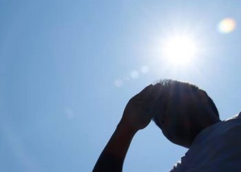 El calor extremo y sequía golpea a Yucatán afectando a pequeños ganaderos