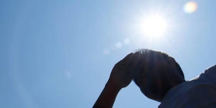 El calor extremo y sequía golpea a Yucatán afectando a pequeños ganaderos