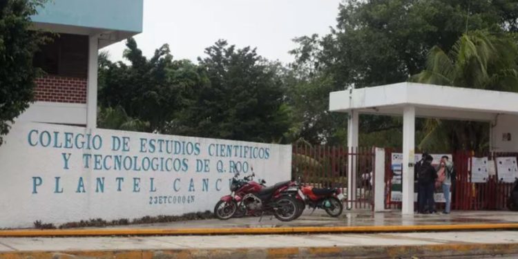 Trabajadores de los nueve planteles de Cecyte en Quintana Roo se unen al paro nacional