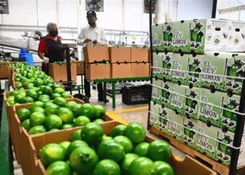 Tabasco mantiene el primer lugar nacional en creación de empleo