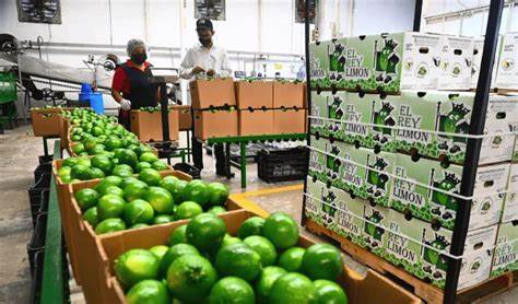 Tabasco mantiene el primer lugar nacional en creación de empleo