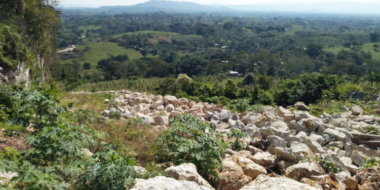 INAH obtiene a donación predio del Tortuguero