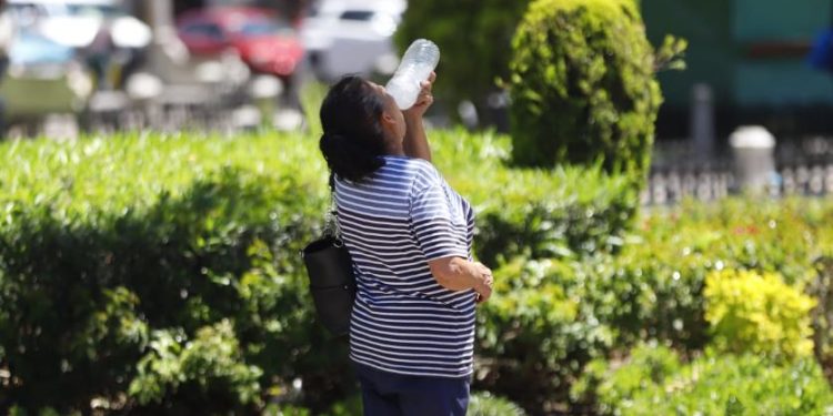 La Secretaría de Salud confirmó 8 muertes en Veracruz, QRoo, Sonora y Oaxaca por las altas temperaturas