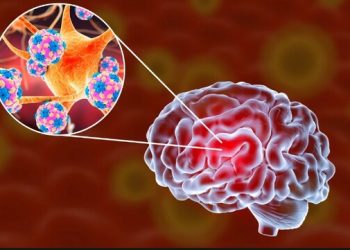 Confirman primera muerte por meningitis fúngica en Tamaulipas