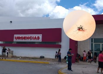 Registran mil 134 casos confirmados de dengue en QROO