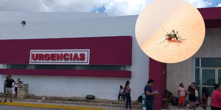 Registran mil 134 casos confirmados de dengue en QROO