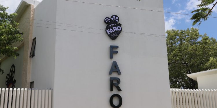 Gobierno de Quintana Roo celebrará Día del Padre en FARO