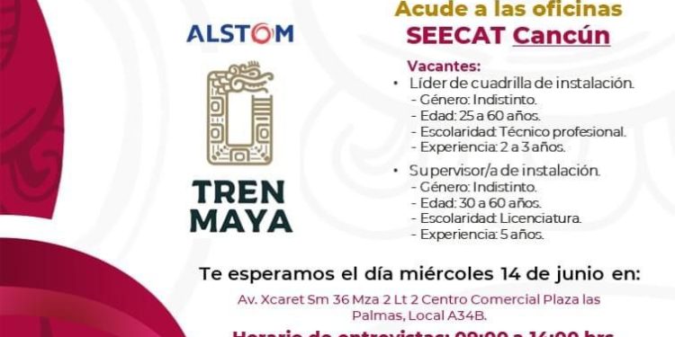 Ofrecen más de 200 vacantes en Cancún para obra del Tren Maya