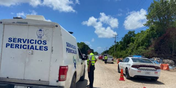 Encuentran cadáver cerca de las obras del Tren Maya en Cancún