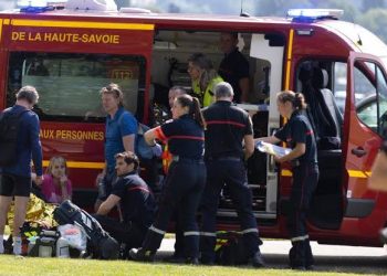 Cuatro niños y dos adultos fueron heridos con arma blanca en un parque infantil de Francia
